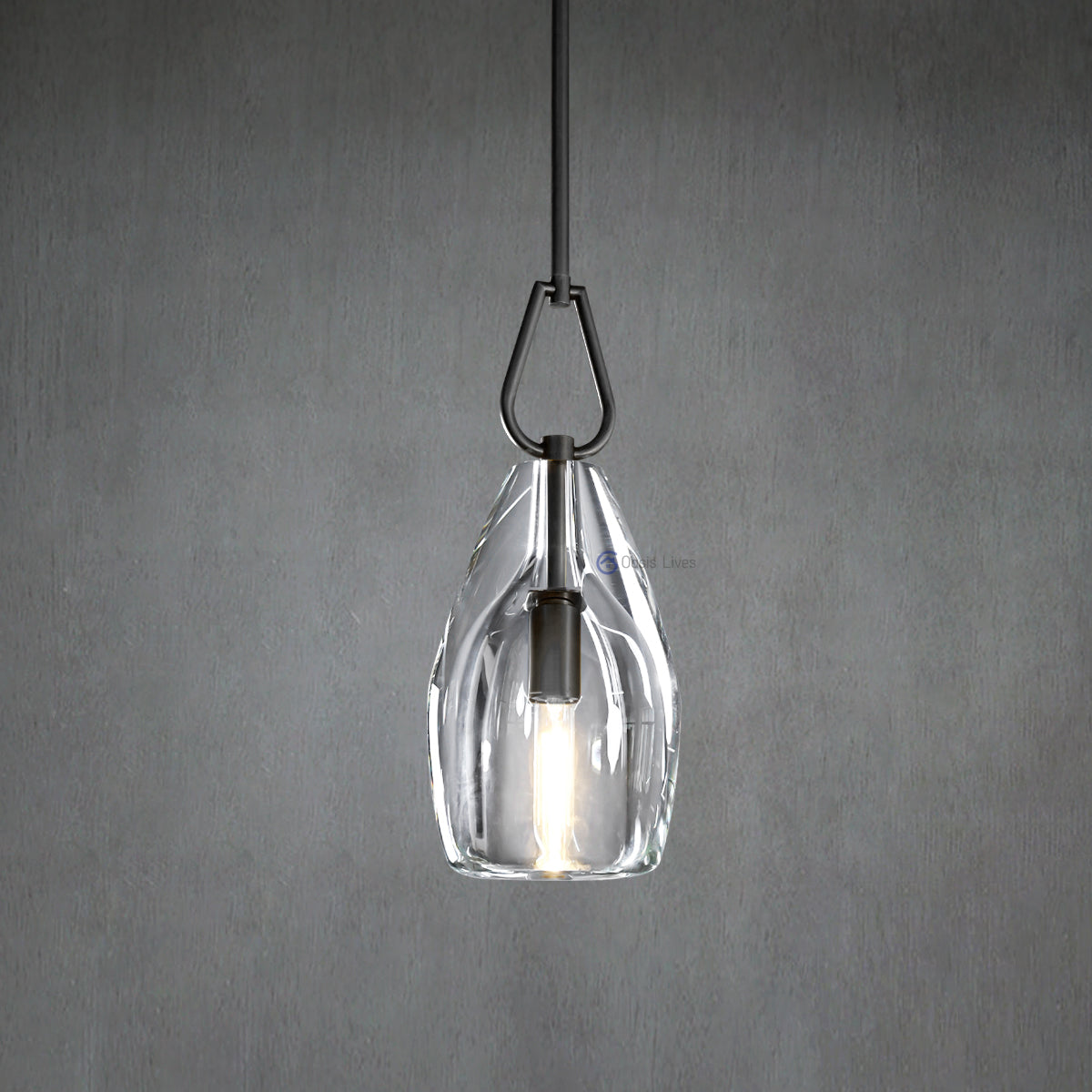 Botany Glass Crystal Pendant / Sconce - Oasislives