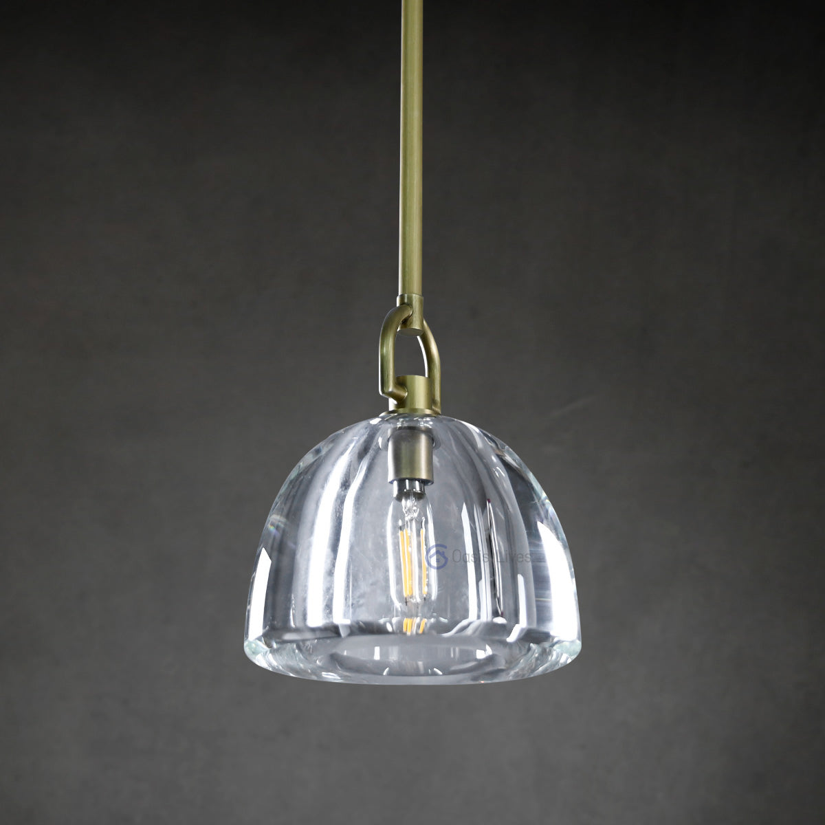 Botany Glass Crystal Pendant / Sconce - Oasislives