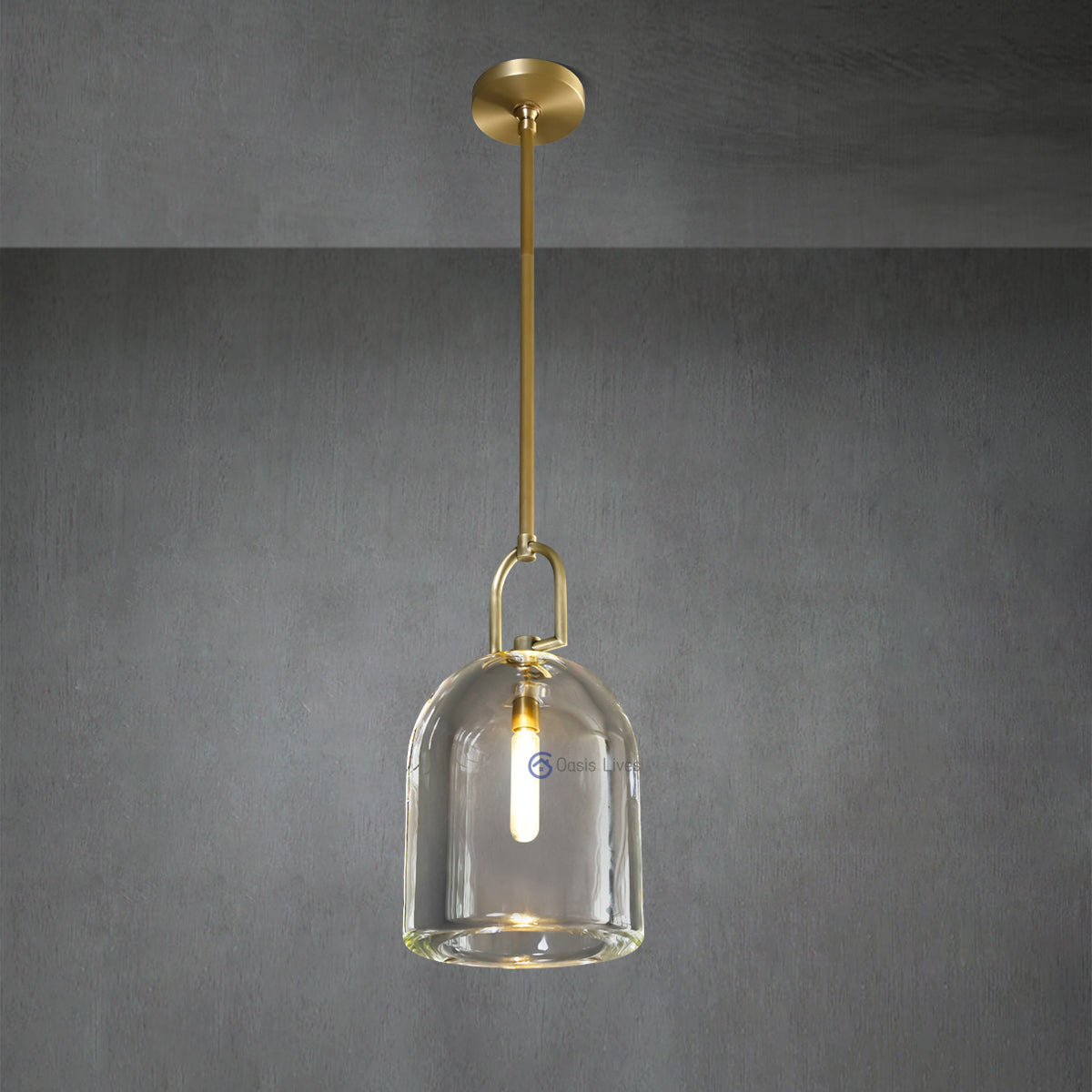 Botany Glass Crystal Pendant / Sconce - Oasislives