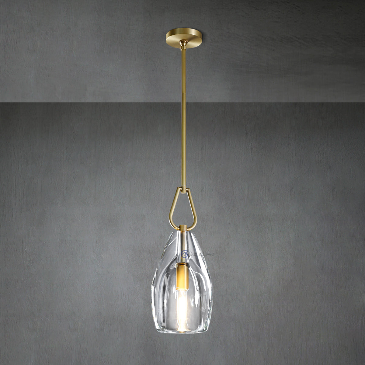 Botany Glass Crystal Pendant / Sconce - Oasislives