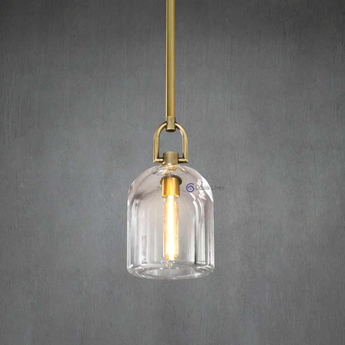 Botany Glass Crystal Pendant / Sconce - Oasislives