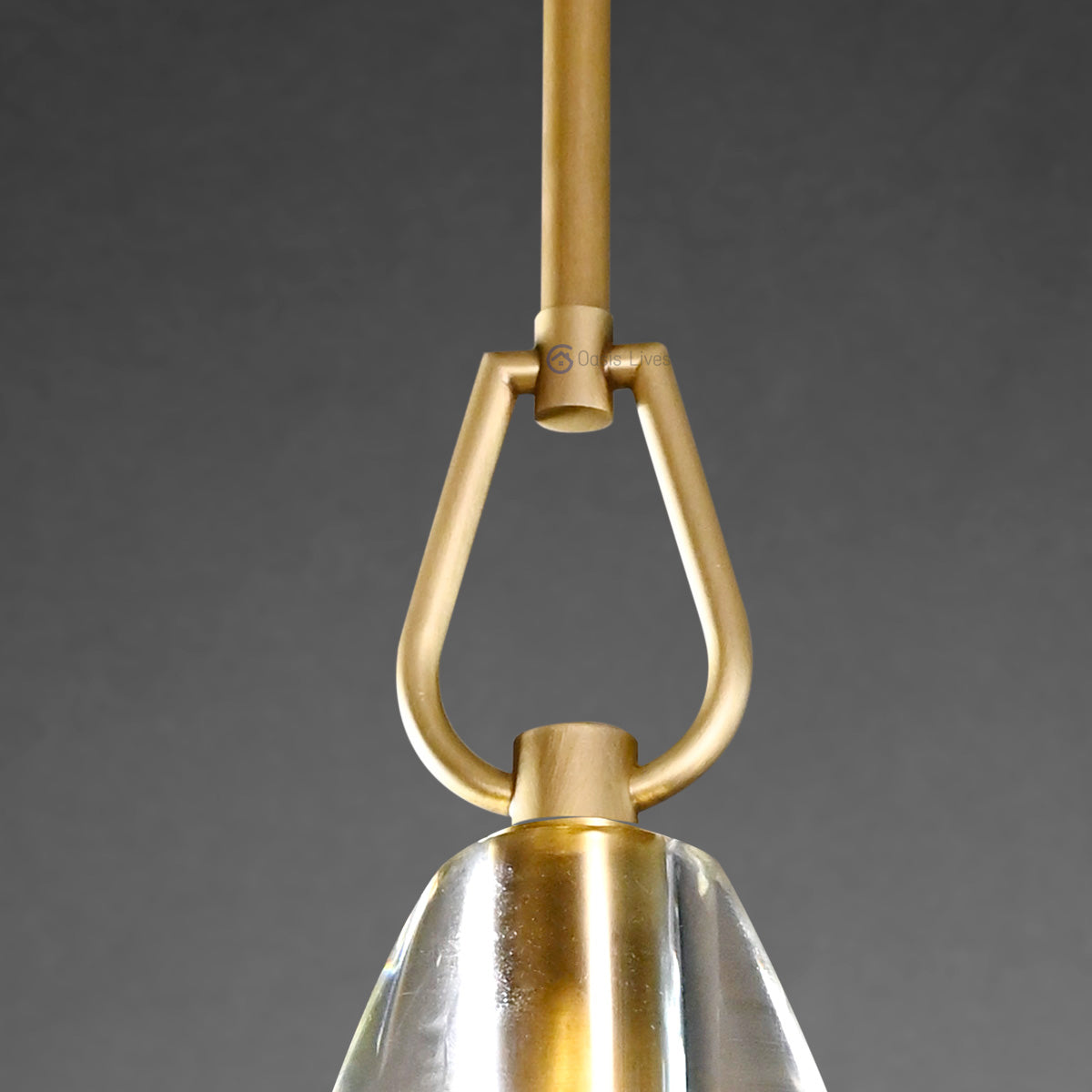 Botany Glass Crystal Pendant / Sconce - Oasislives