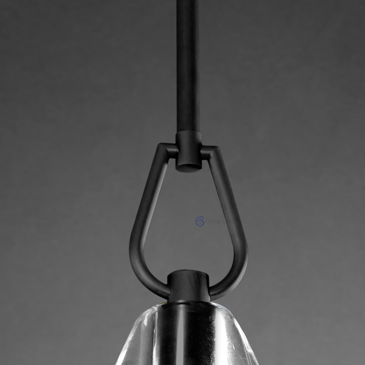 Botany Glass Crystal Pendant / Sconce - Oasislives