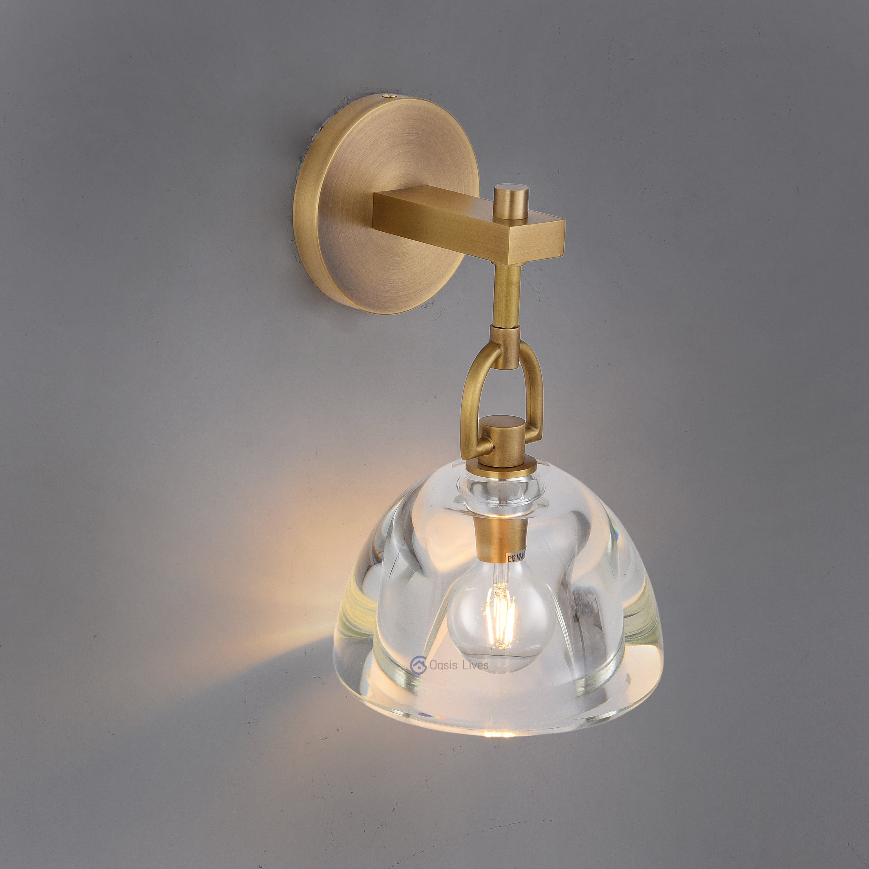 Botany Glass Crystal Pendant / Sconce - Oasislives