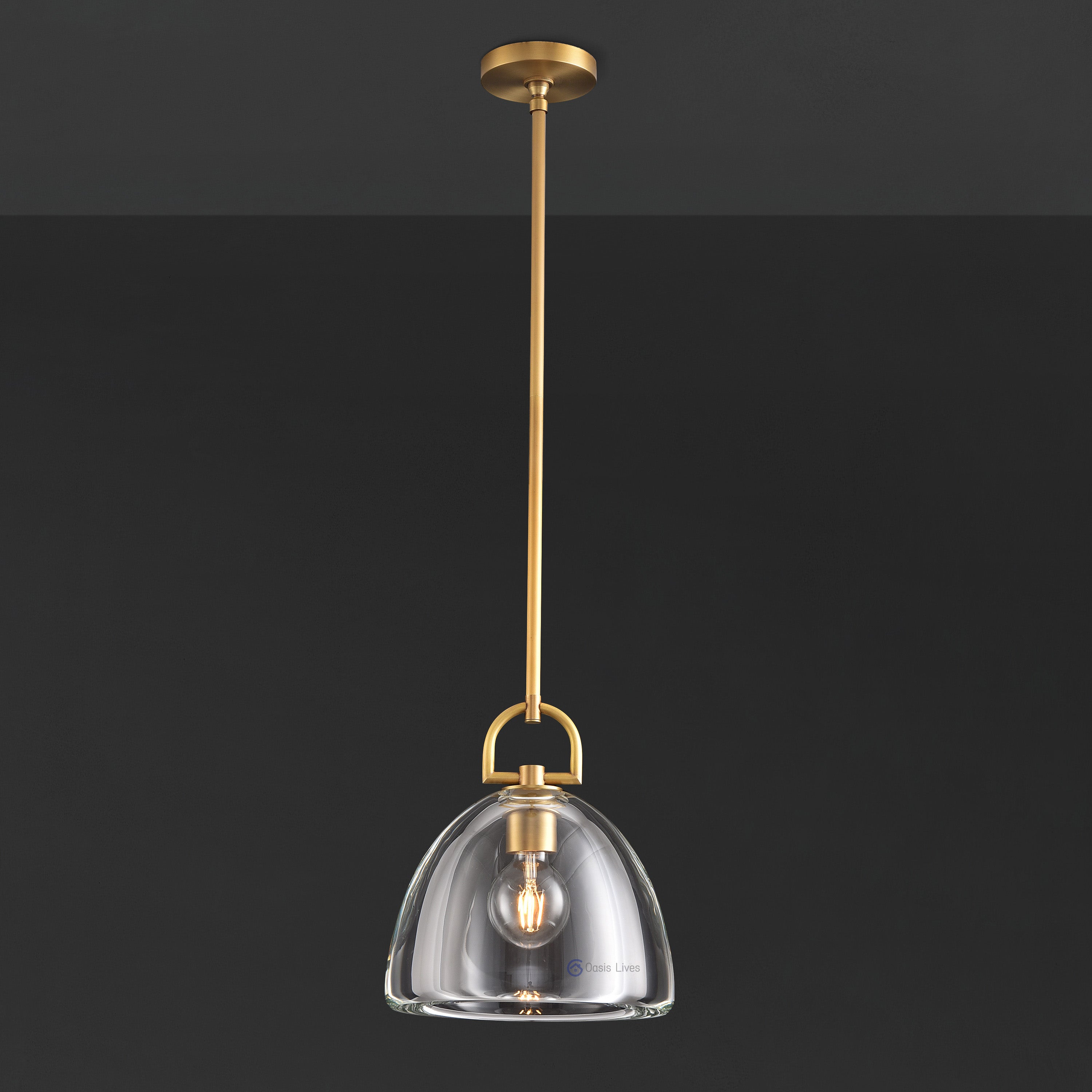 Botany Glass Crystal Pendant / Sconce - Oasislives