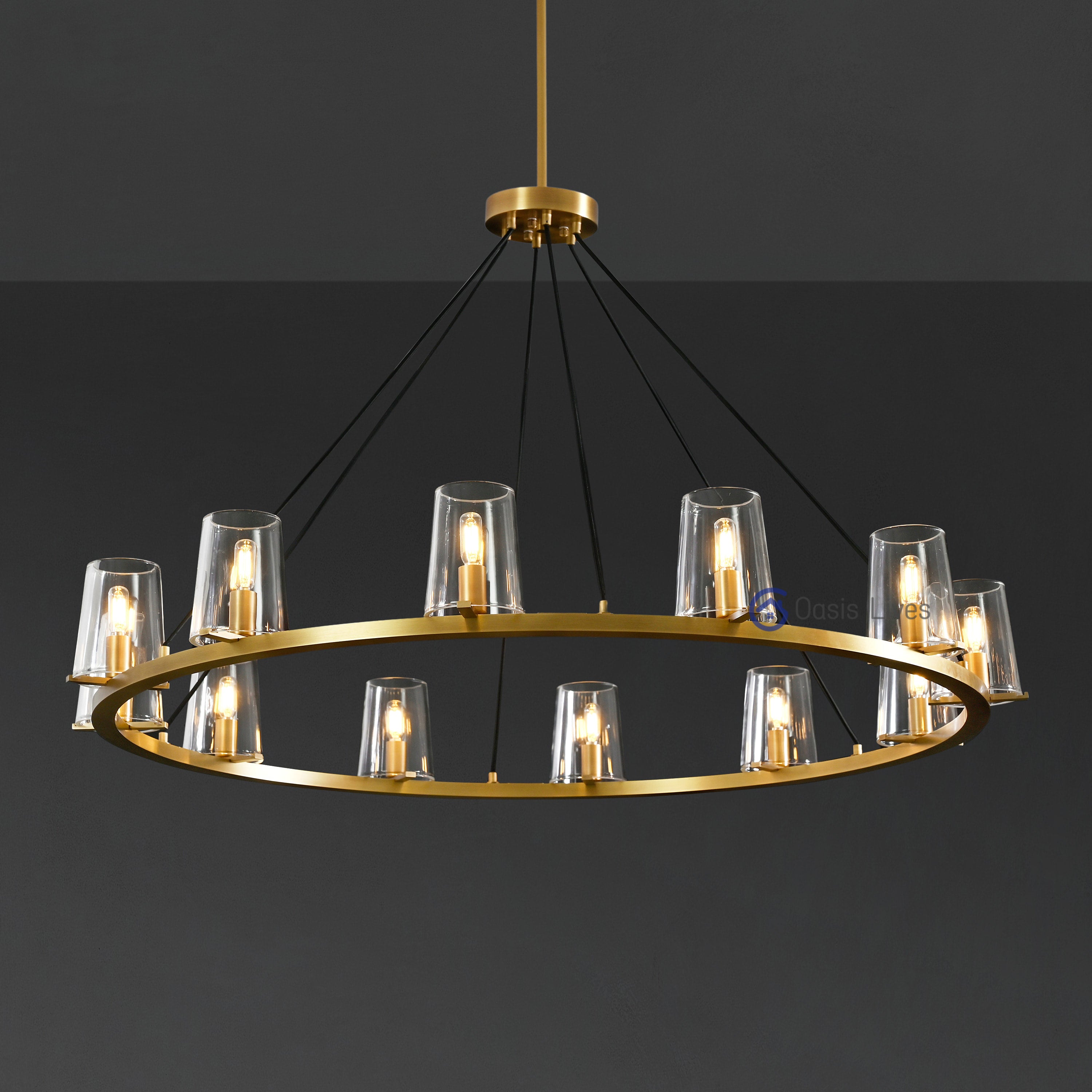 Pauilly Glass Shade Chandelier for Living Room, Bedroom, Dining Room