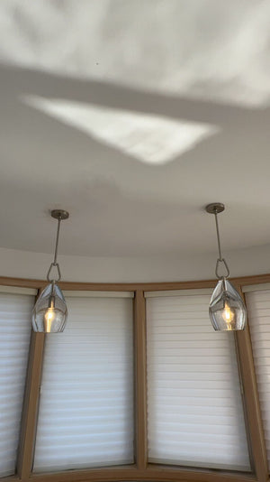 Botany Glass Crystal Pendant / Sconce - Oasislives