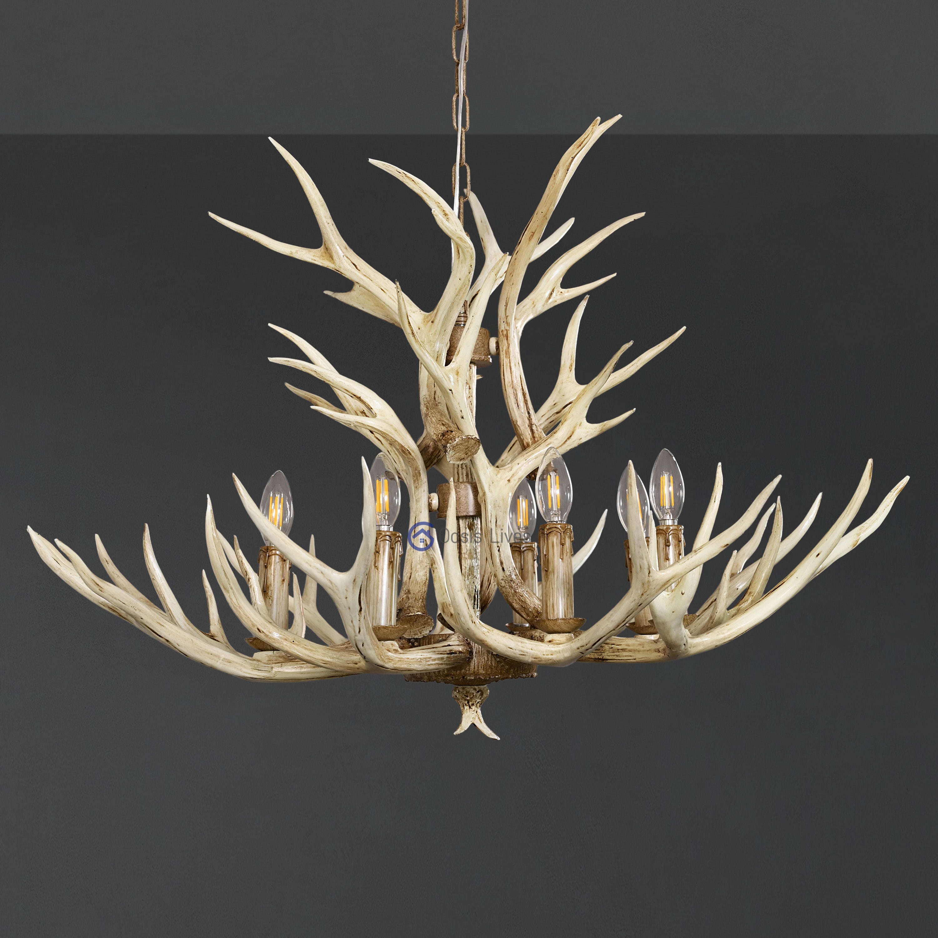 Natural Antler Chandelier 36" 48" 60" 66"