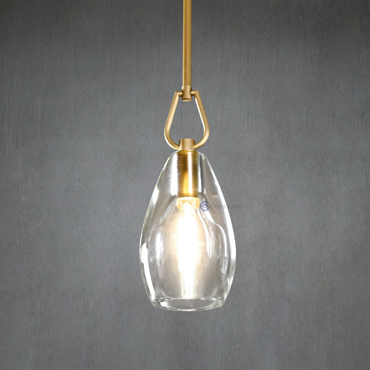 Botany Glass Crystal Pendant / Sconce - Oasislives