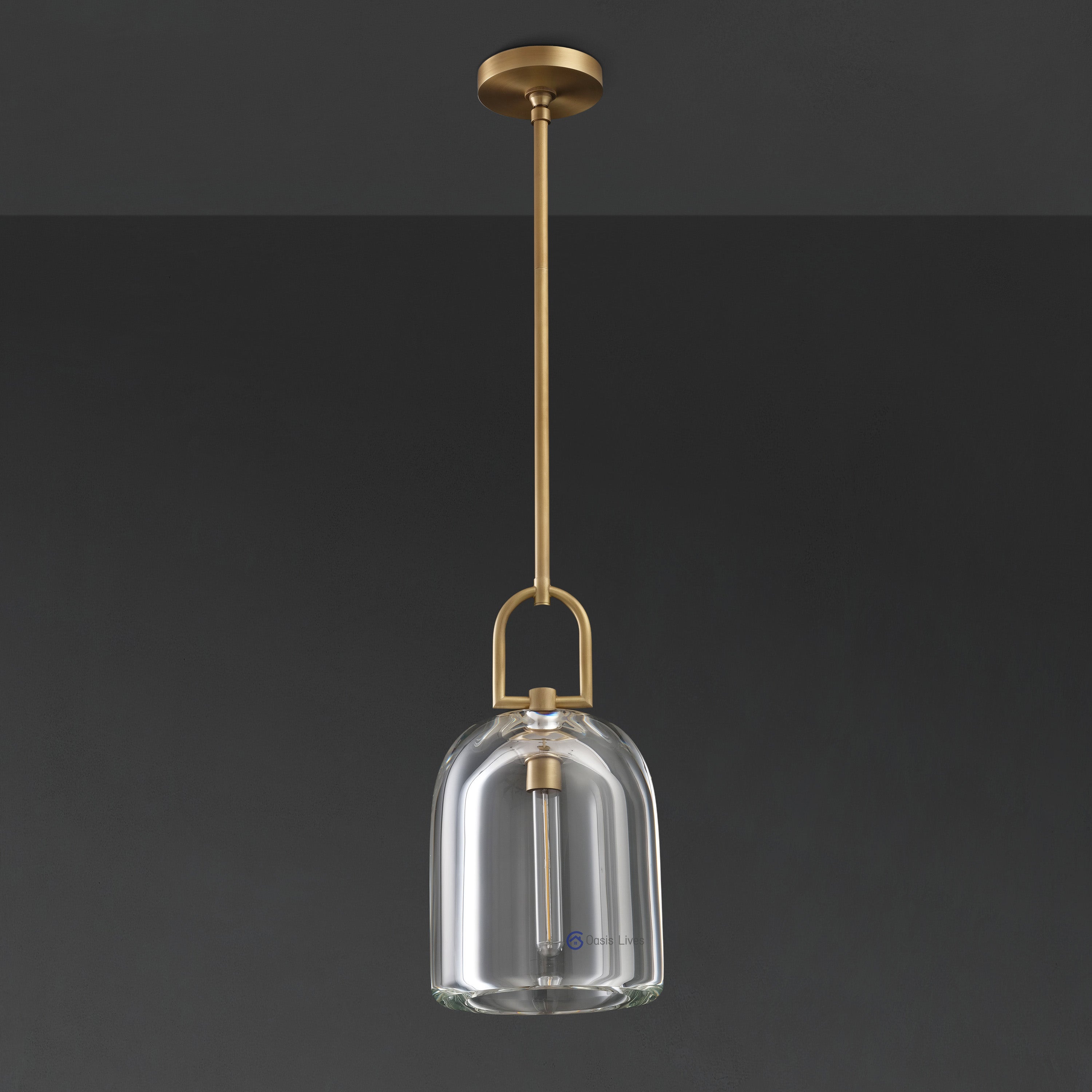 Botany Glass Crystal Pendant / Sconce - Oasislives