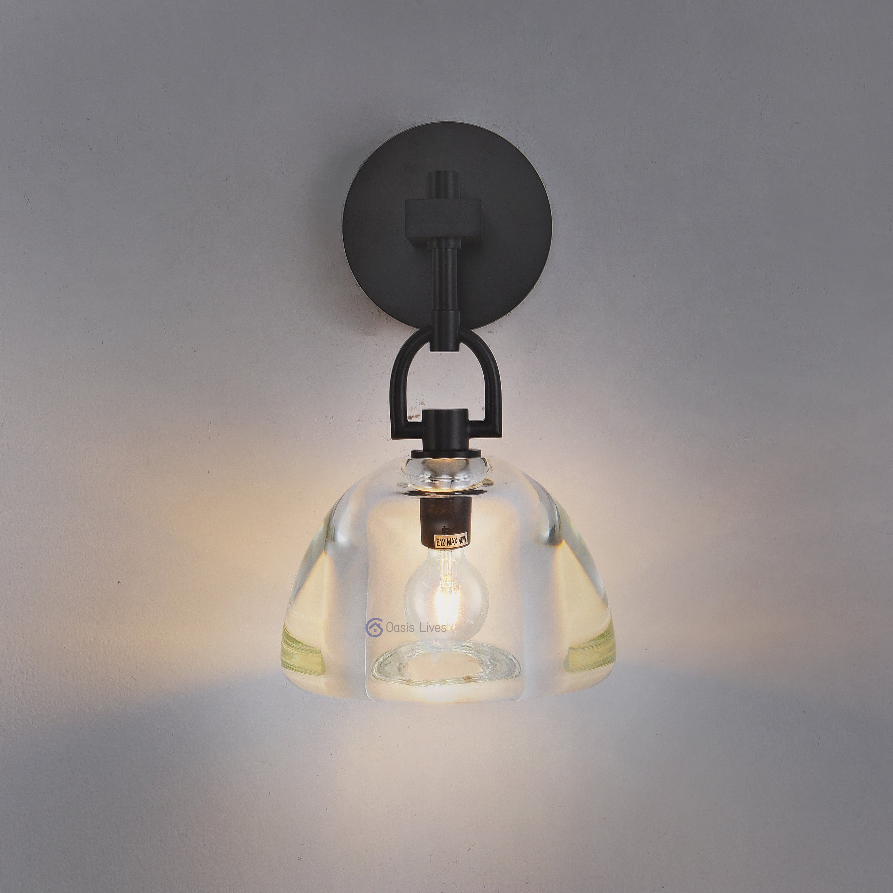 Botany Glass Crystal Pendant / Sconce - Oasislives