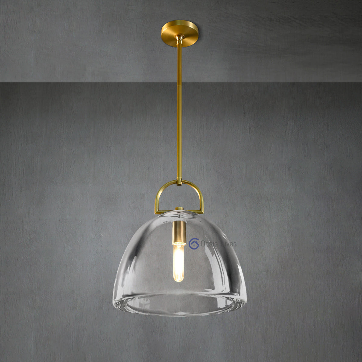 Botany Glass Crystal Pendant / Sconce - Oasislives