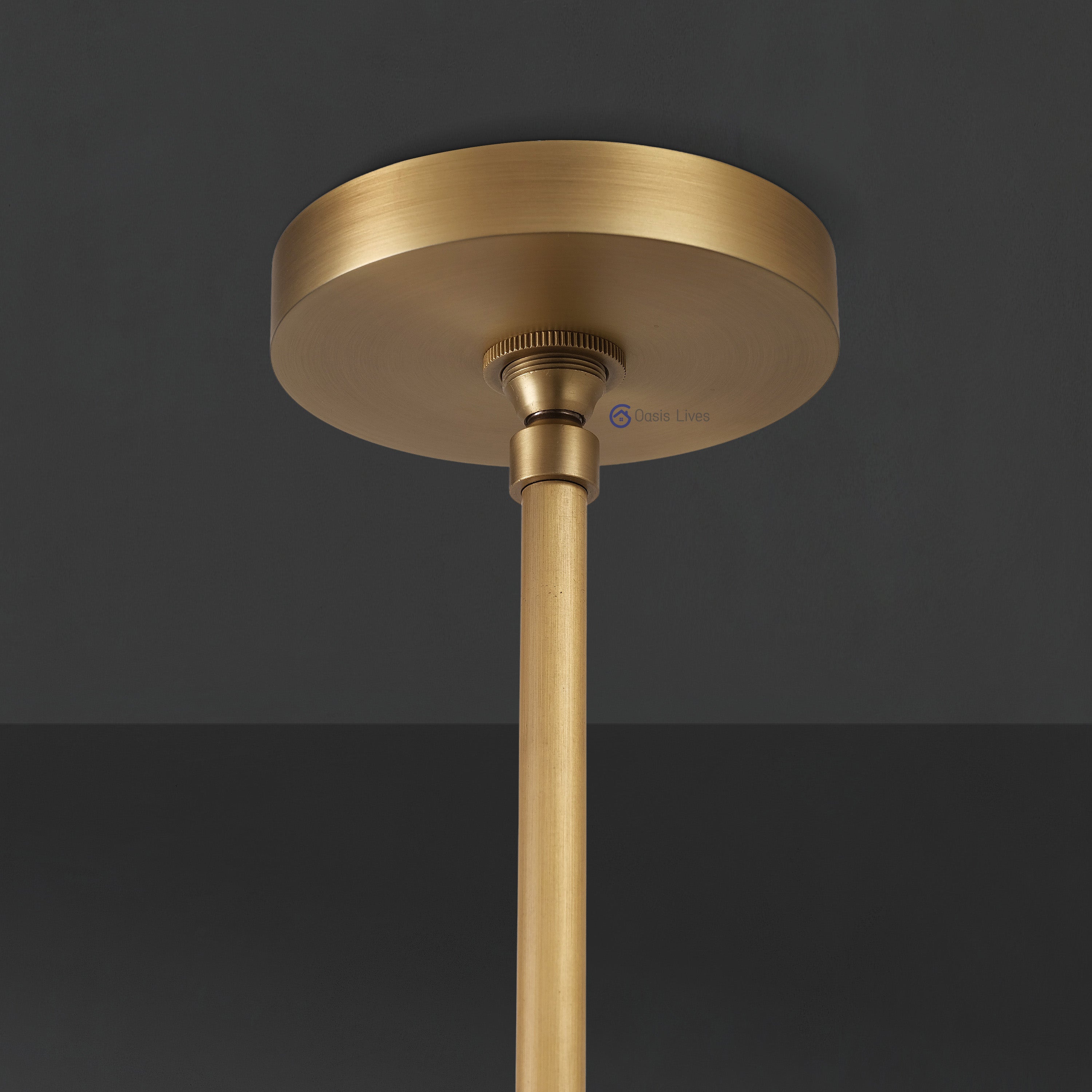 Botany Glass Crystal Pendant / Sconce - Oasislives