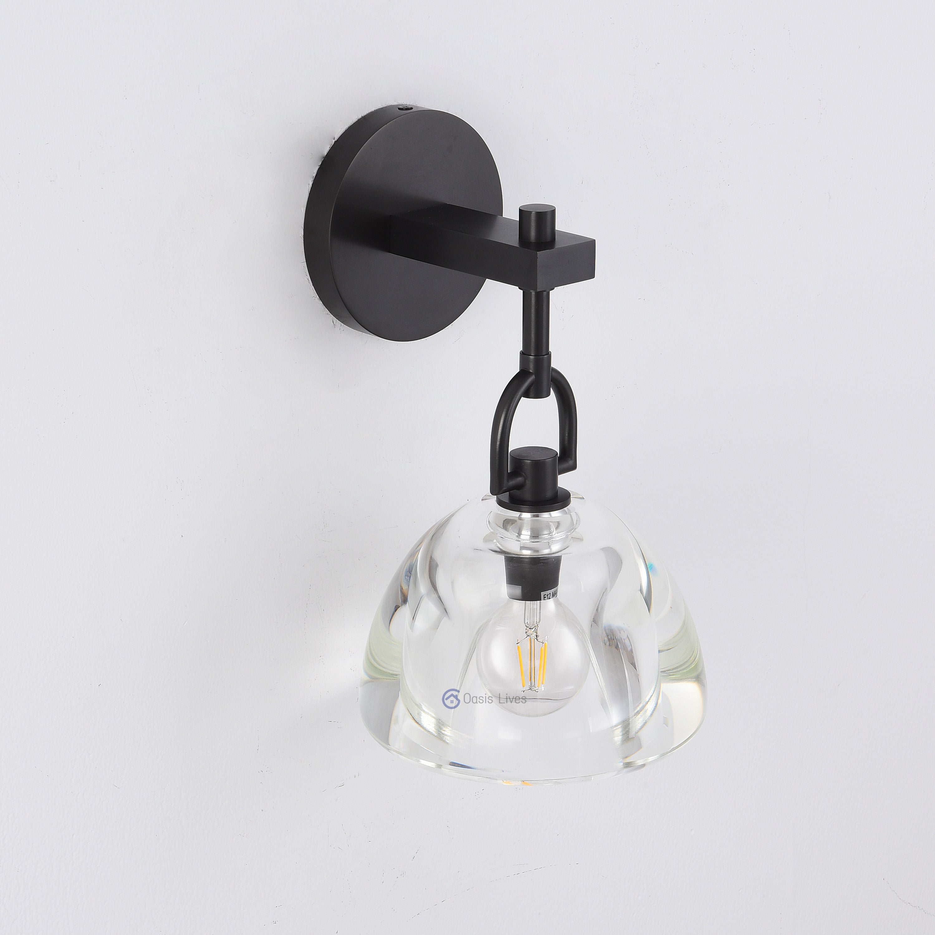Botany Glass Crystal Pendant / Sconce - Oasislives