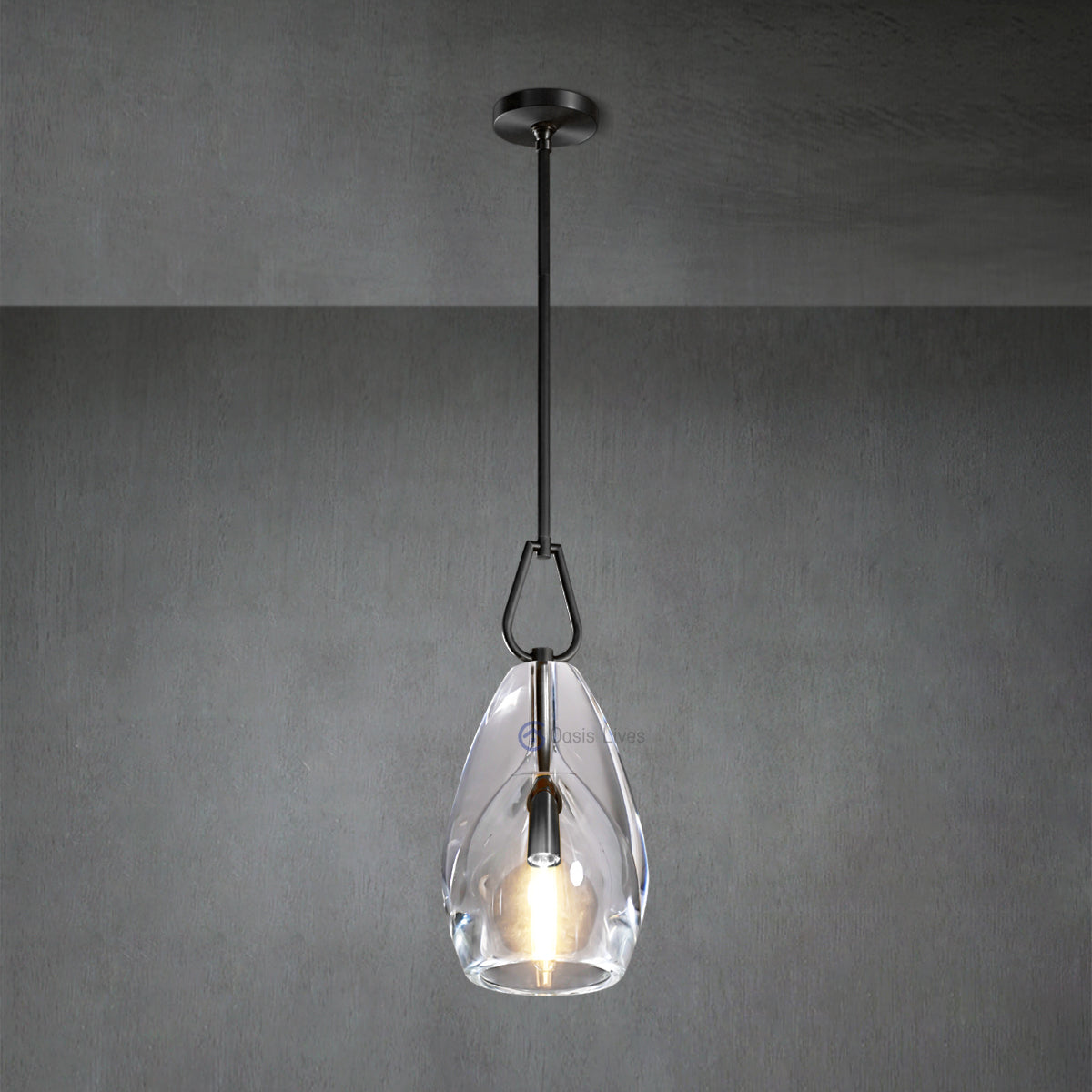 Botany Glass Crystal Pendant / Sconce - Oasislives