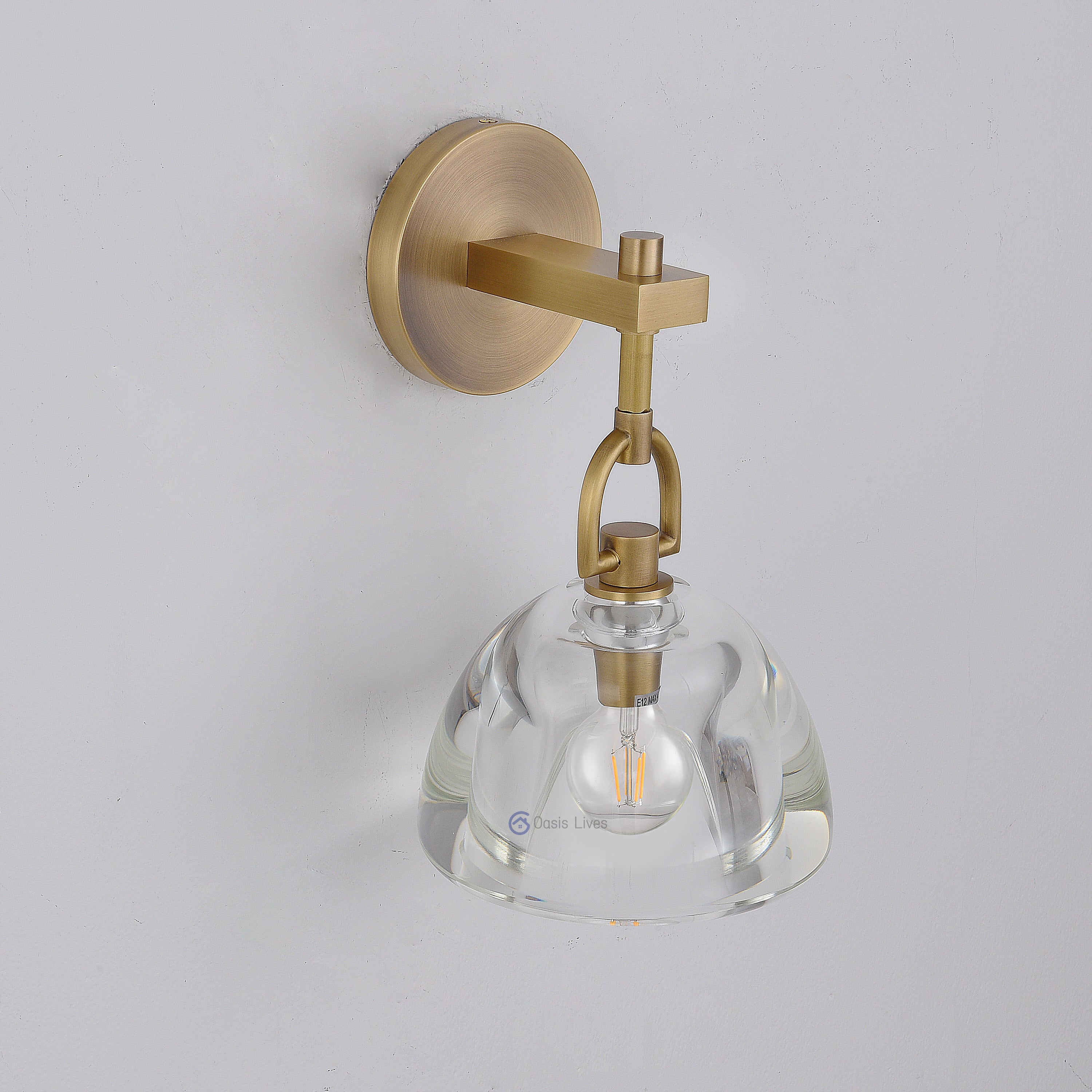 Botany Glass Crystal Pendant / Sconce - Oasislives