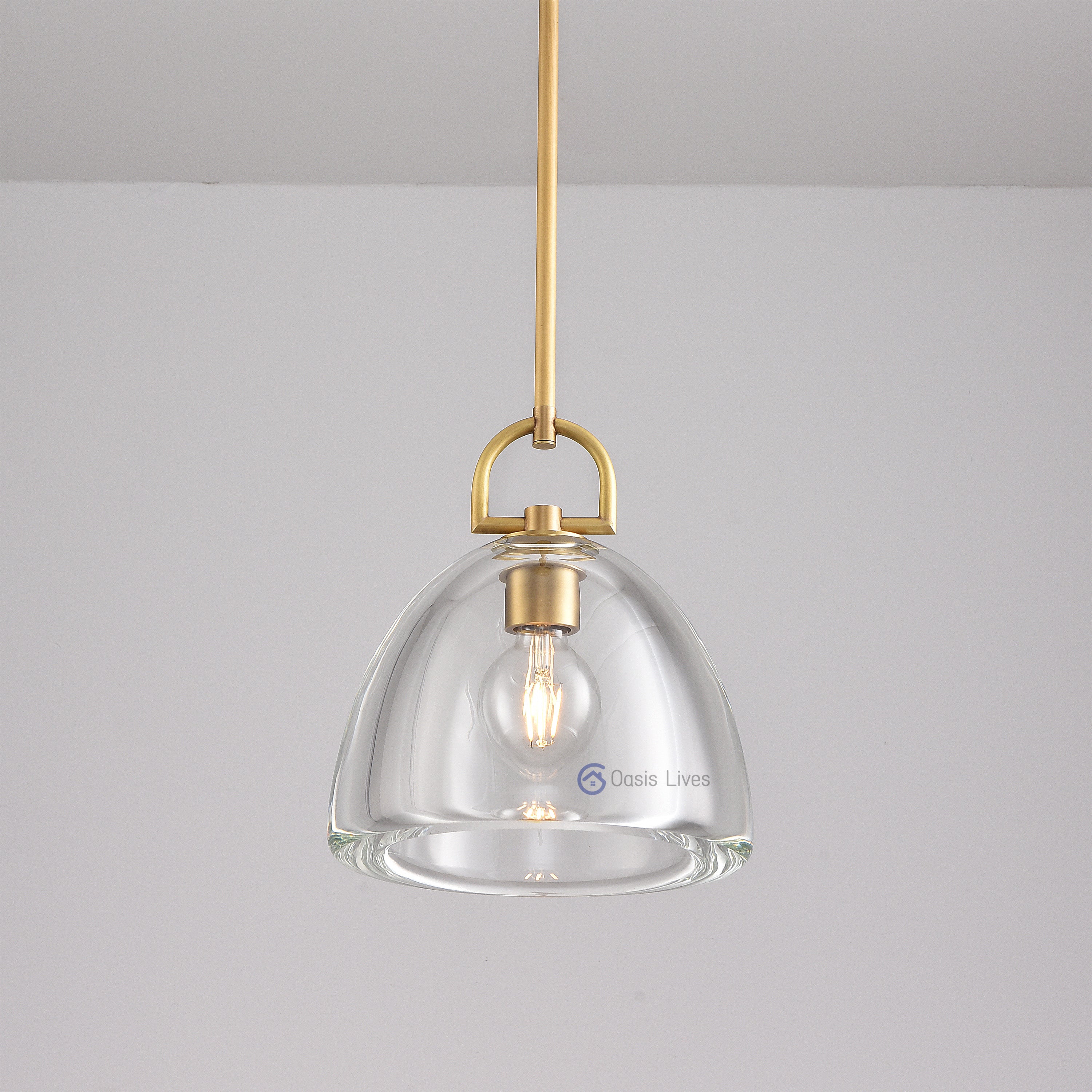 Botany Glass Crystal Pendant / Sconce - Oasislives