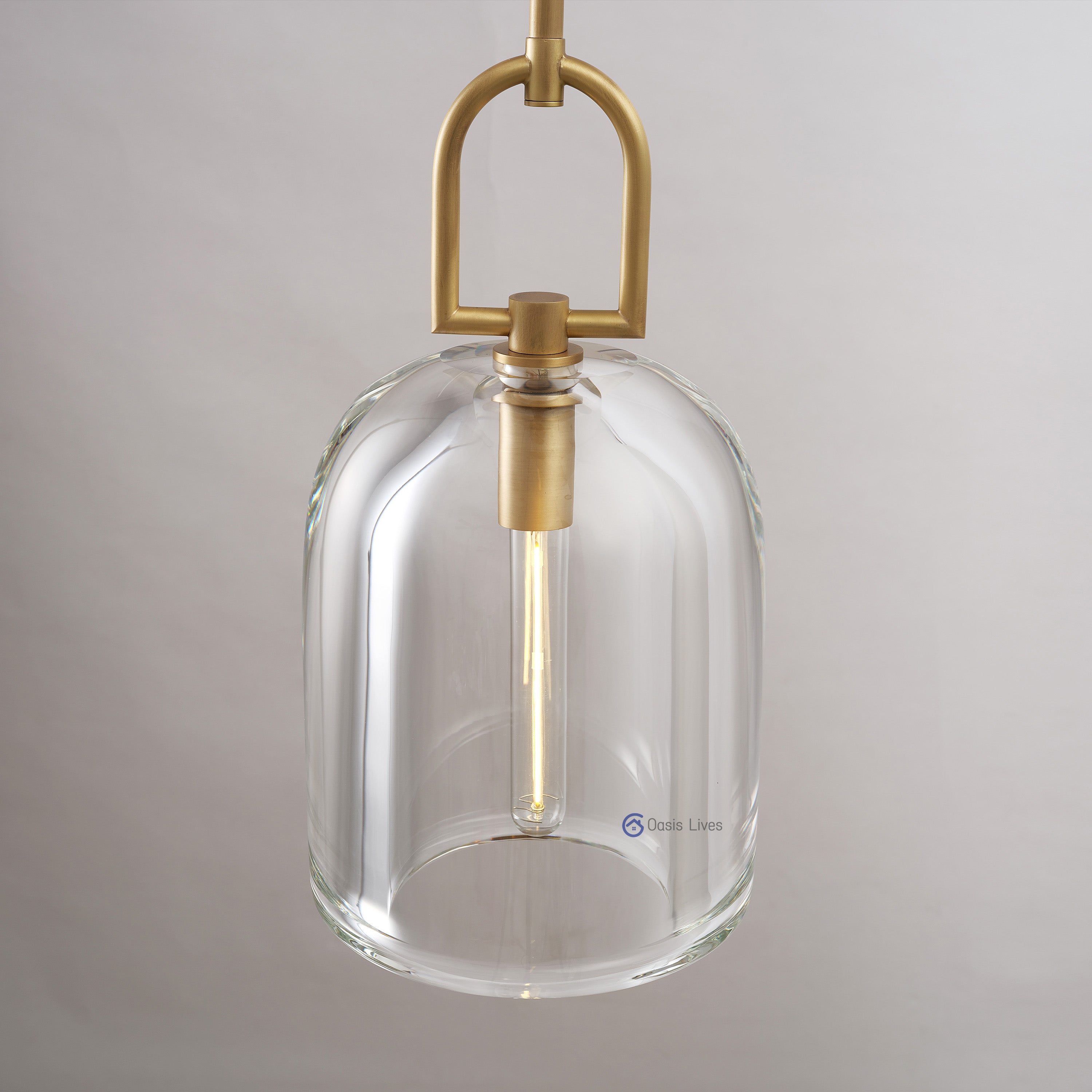 Botany Glass Crystal Pendant / Sconce - Oasislives