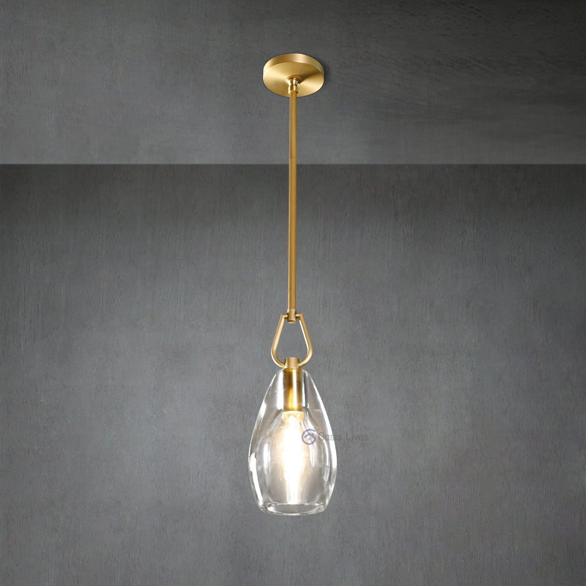 Botany Glass Crystal Pendant / Sconce - Oasislives