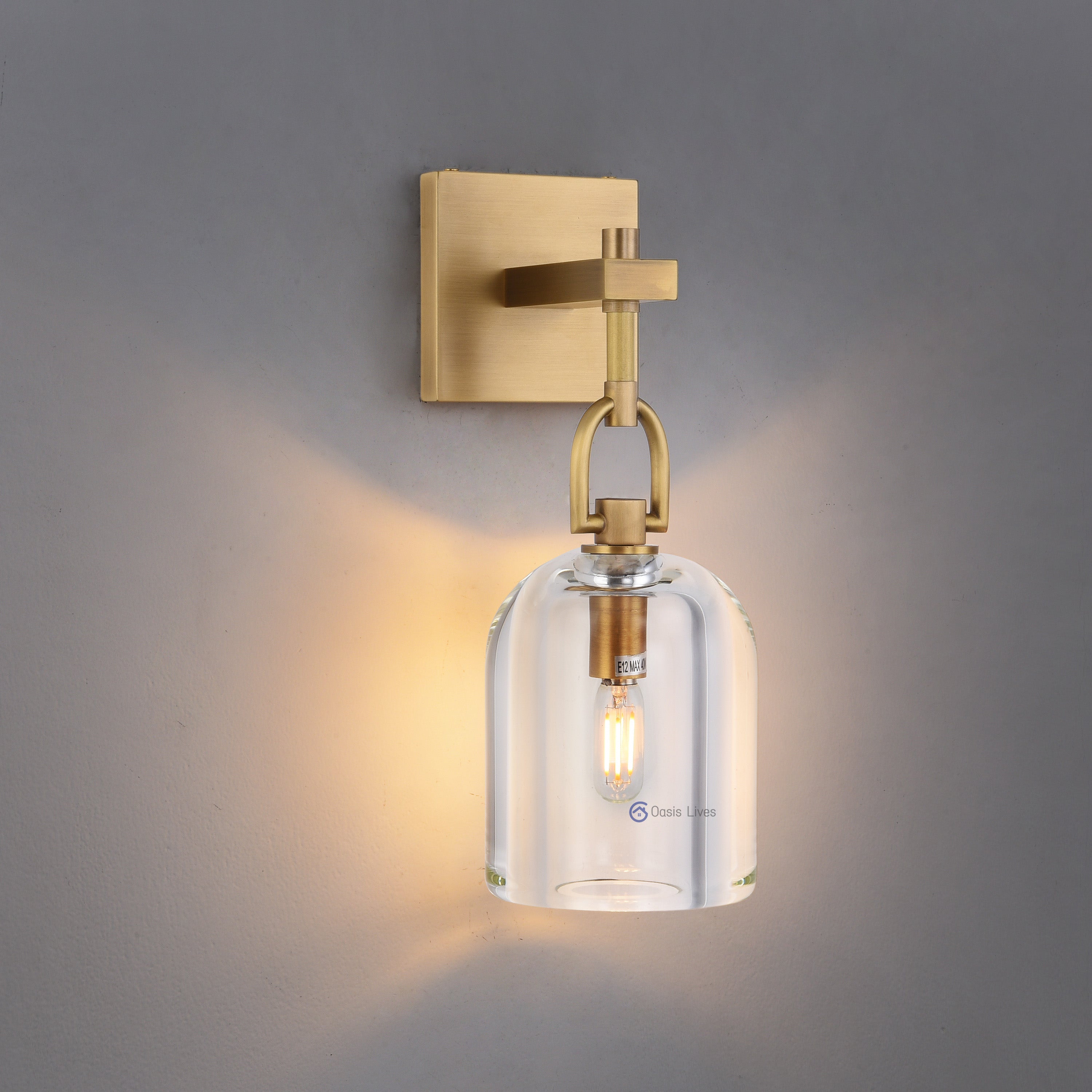 Botany Glass Crystal Pendant / Sconce - Oasislives