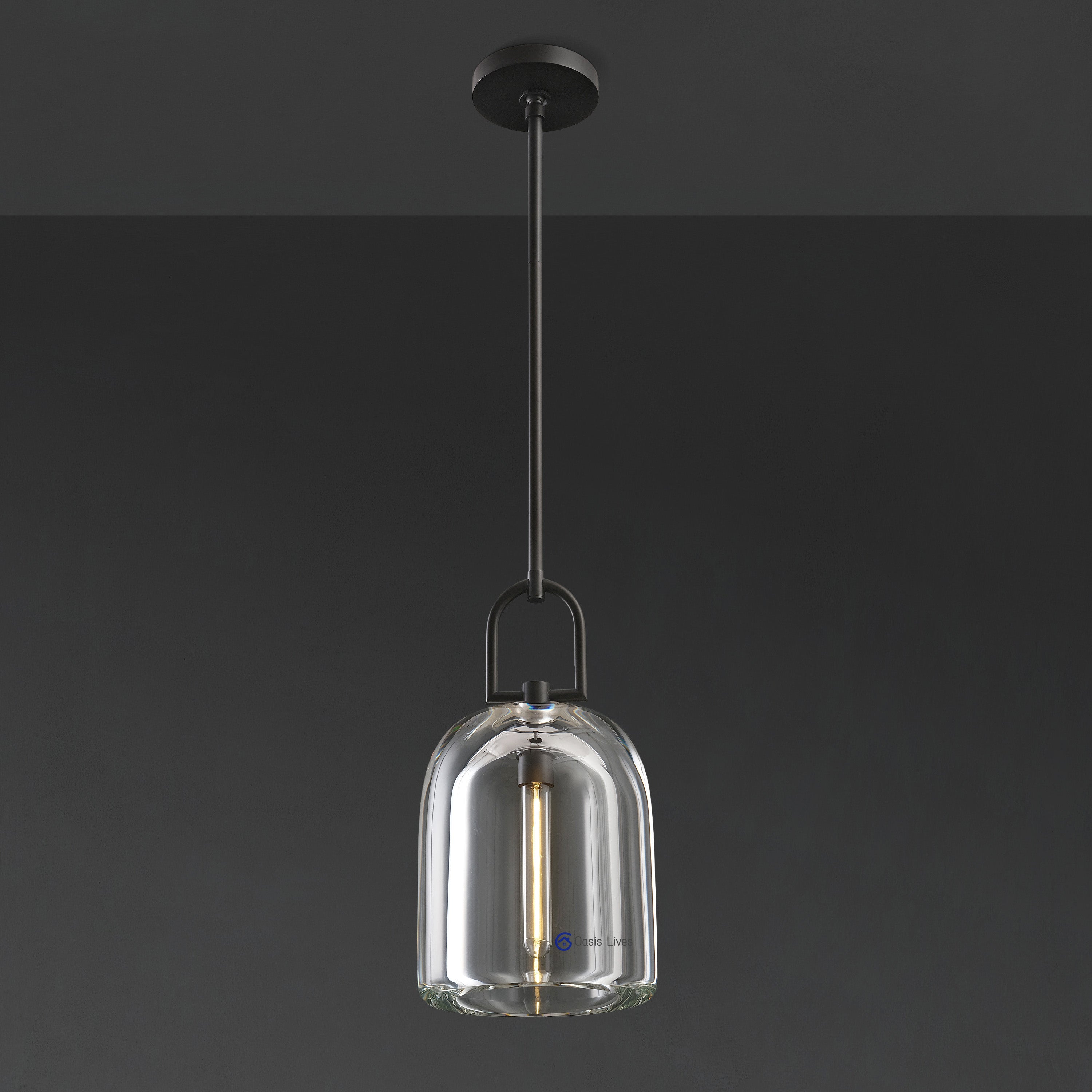Botany Glass Crystal Pendant / Sconce - Oasislives