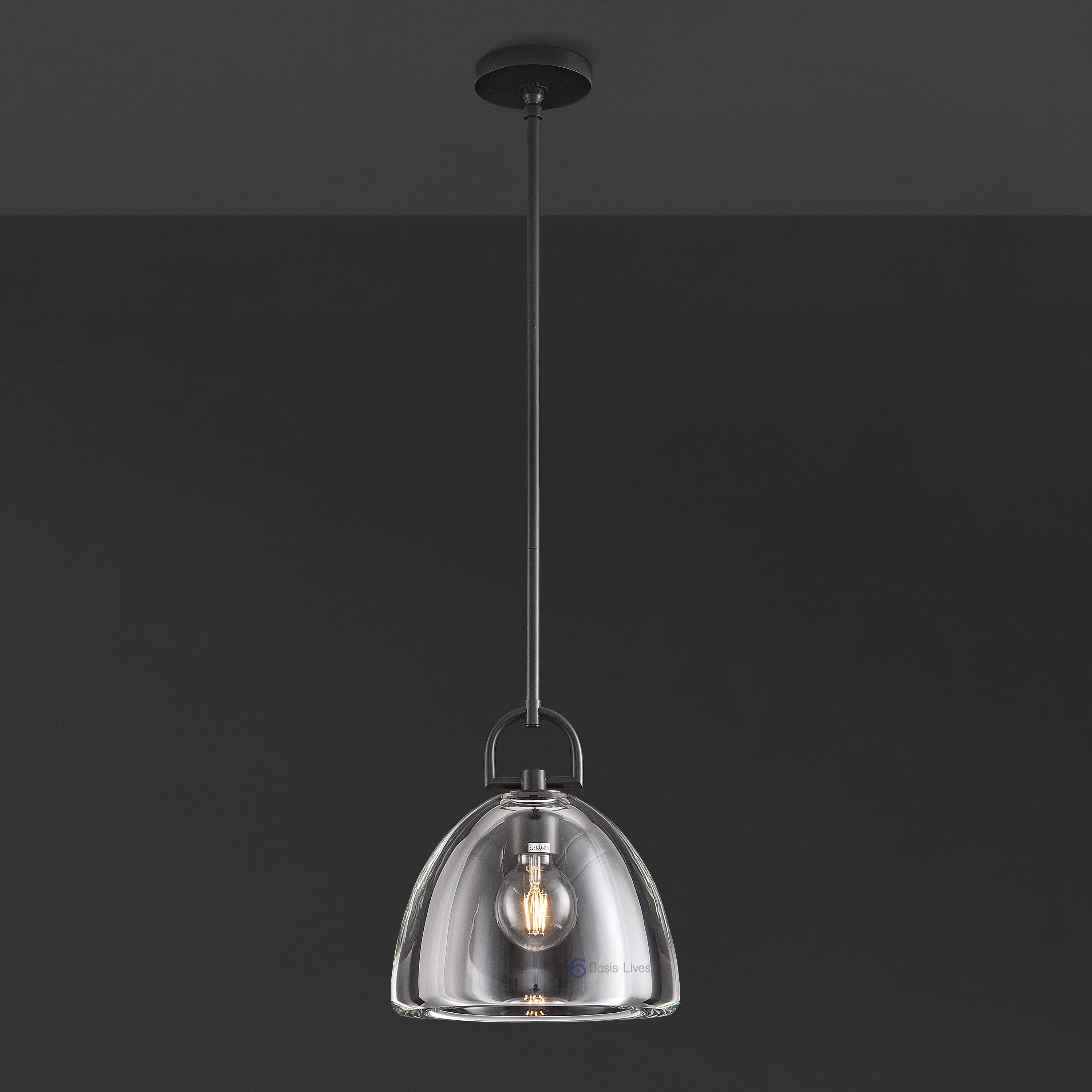 Botany Glass Crystal Pendant / Sconce - Oasislives