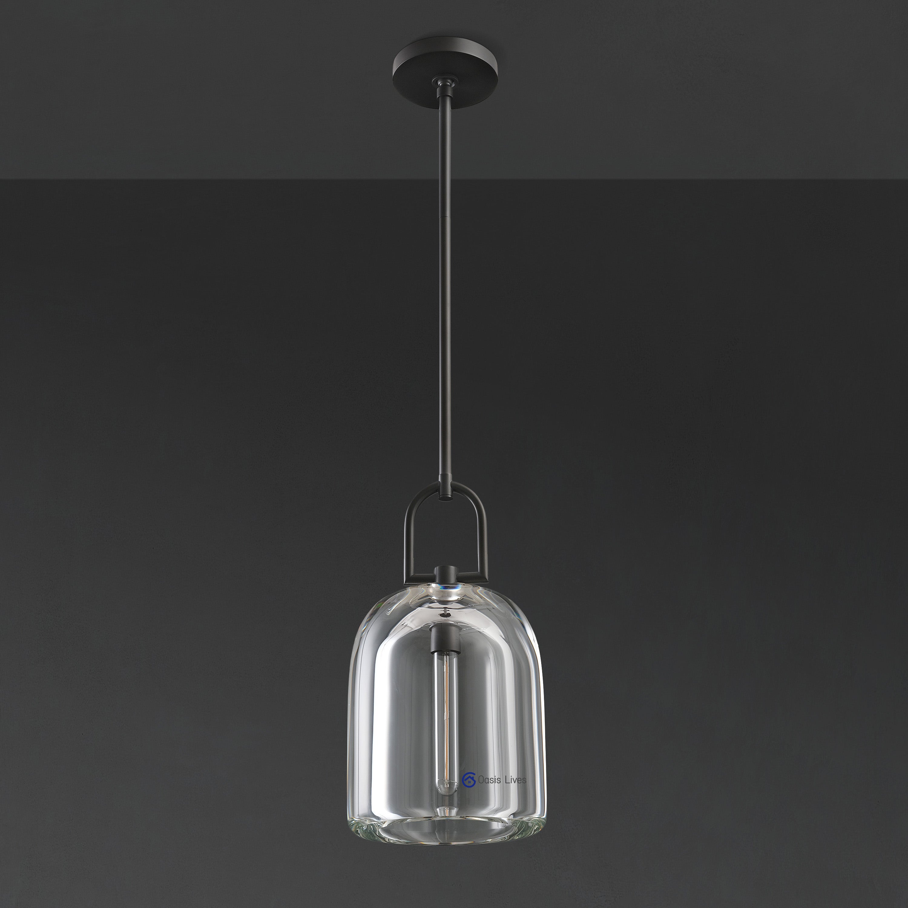 Botany Glass Crystal Pendant / Sconce - Oasislives