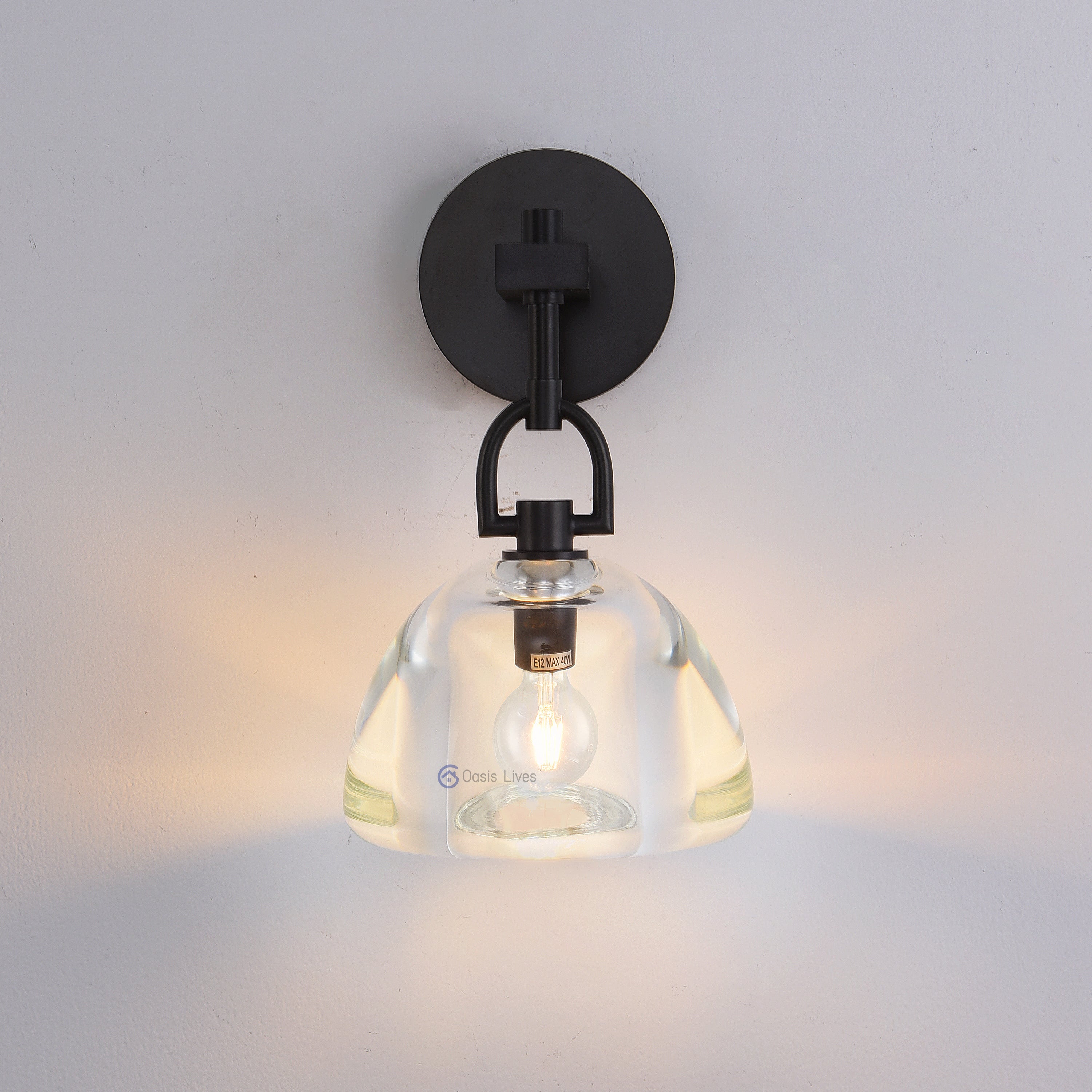 Botany Glass Crystal Pendant / Sconce - Oasislives