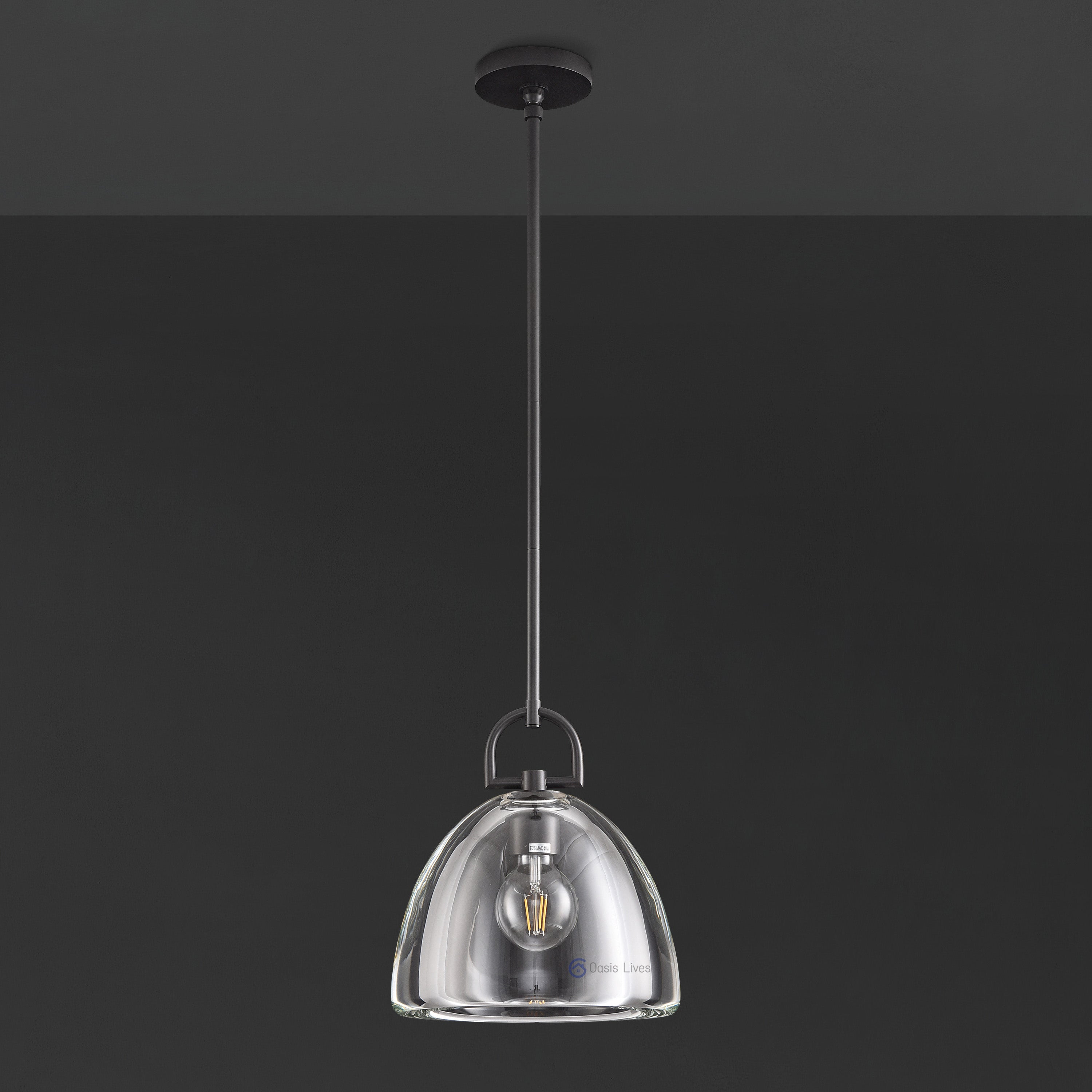 Botany Glass Crystal Pendant / Sconce - Oasislives