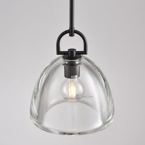 Botany Glass Crystal Pendant / Sconce - Oasislives