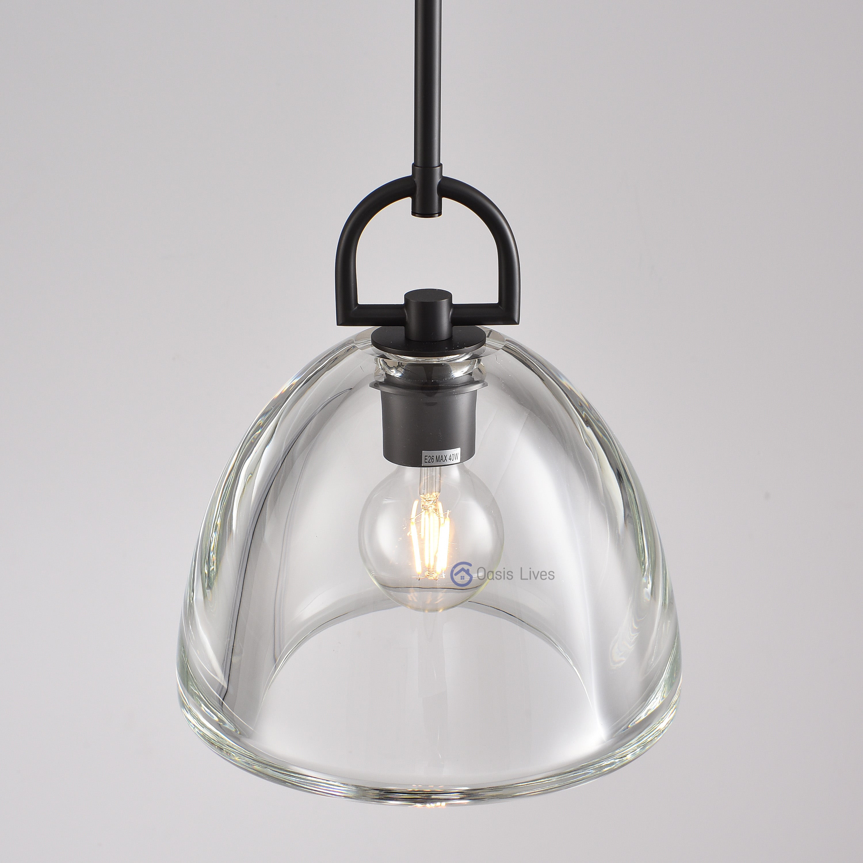 Botany Glass Crystal Pendant / Sconce - Oasislives