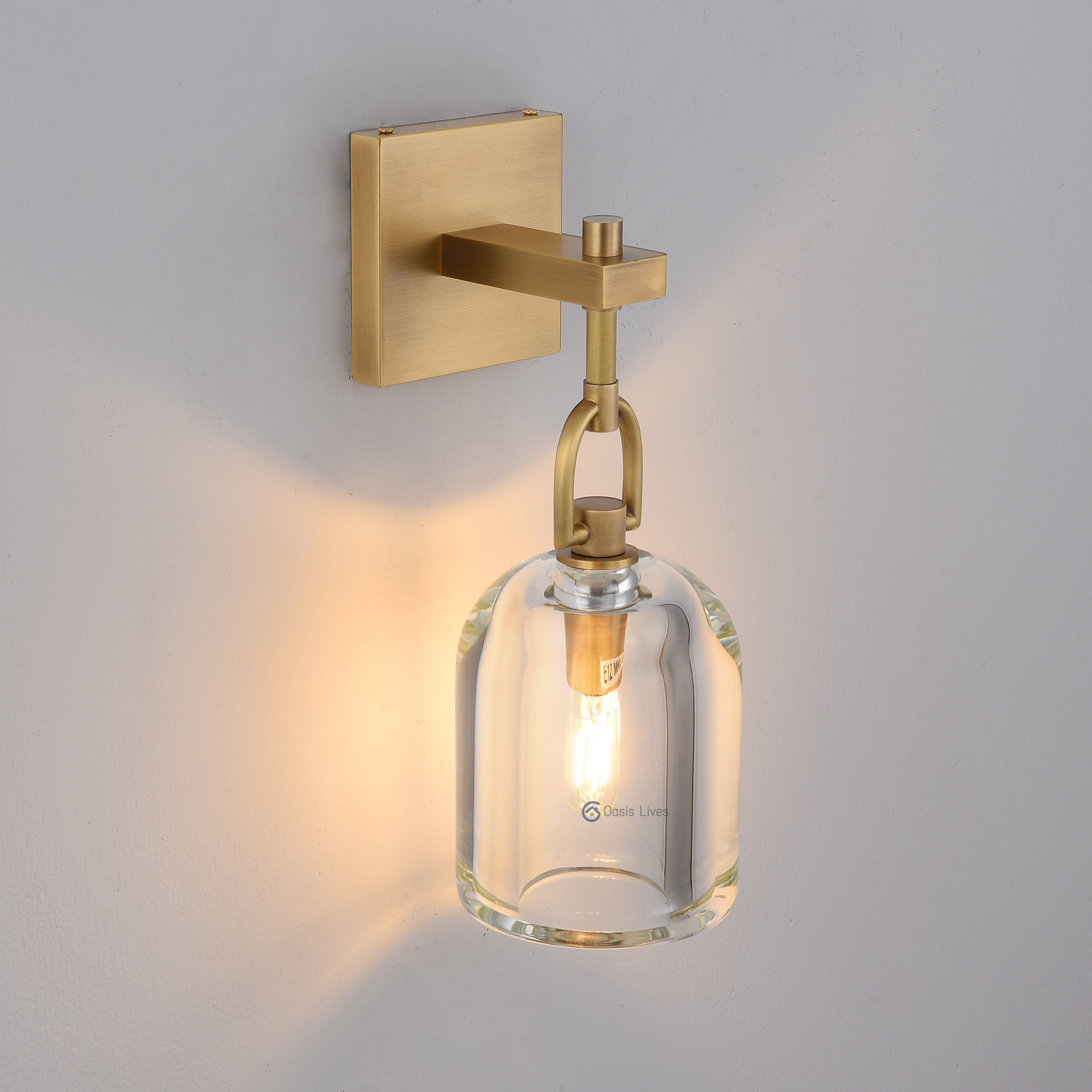Botany Glass Crystal Pendant / Sconce - Oasislives