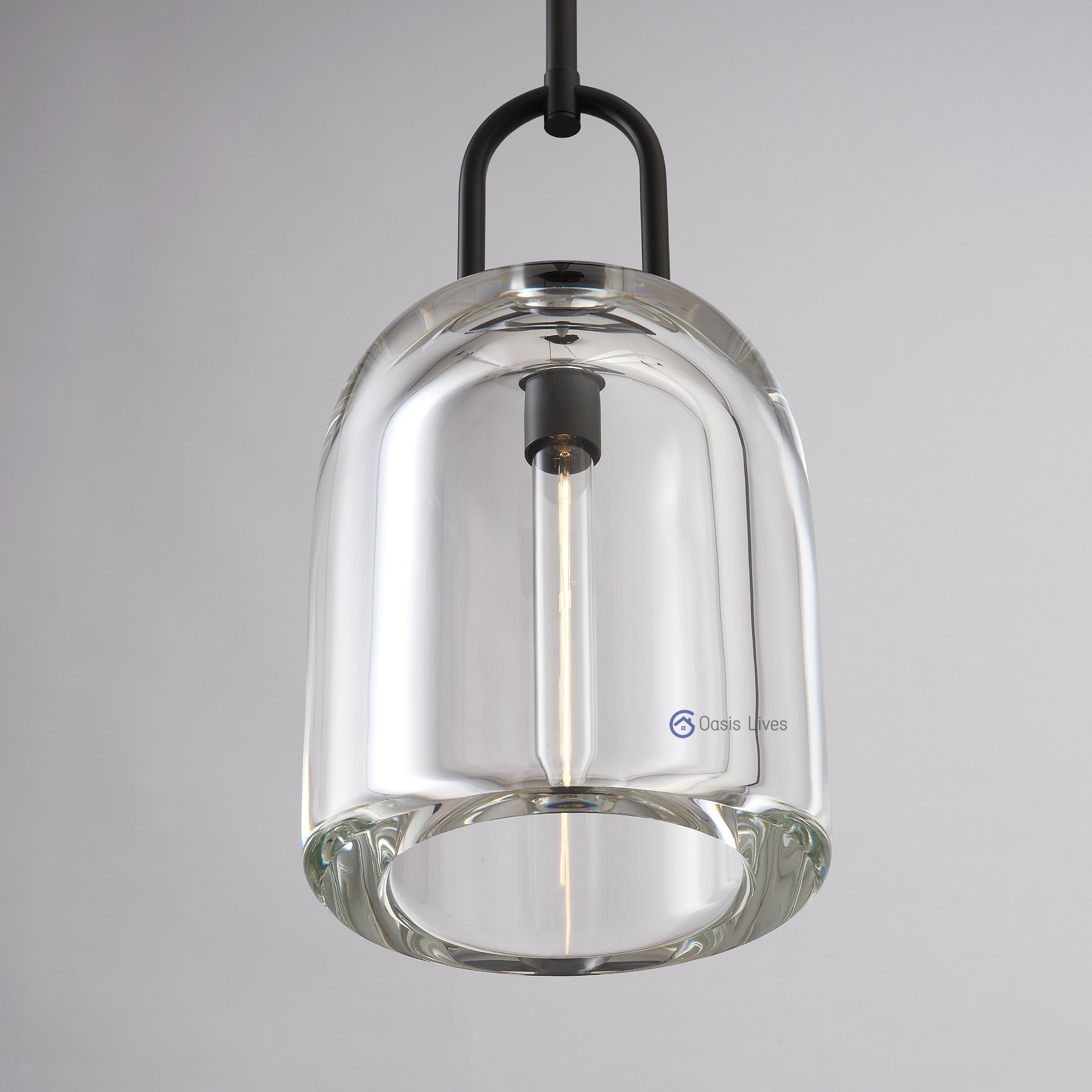 Botany Glass Crystal Pendant / Sconce - Oasislives