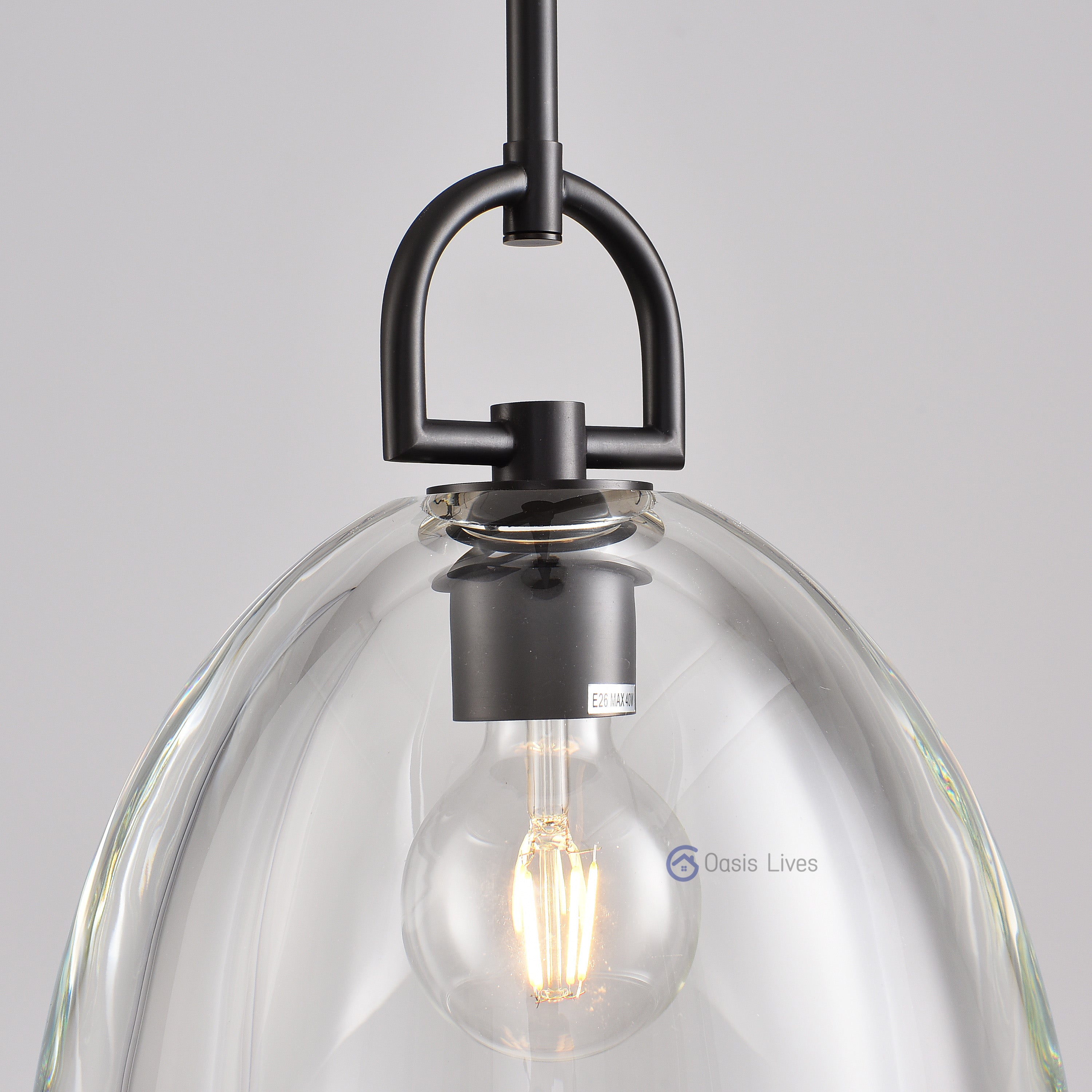 Botany Glass Crystal Pendant / Sconce - Oasislives