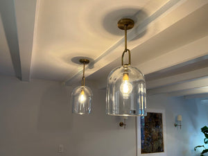 Botany Glass Crystal Pendant / Sconce - Oasislives