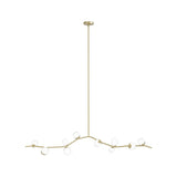 Mull 10 - Light Chandelier - Oasislives